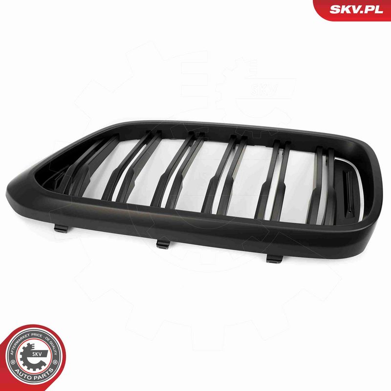 ESEN SKV 66SKV211 Radiator Grille
