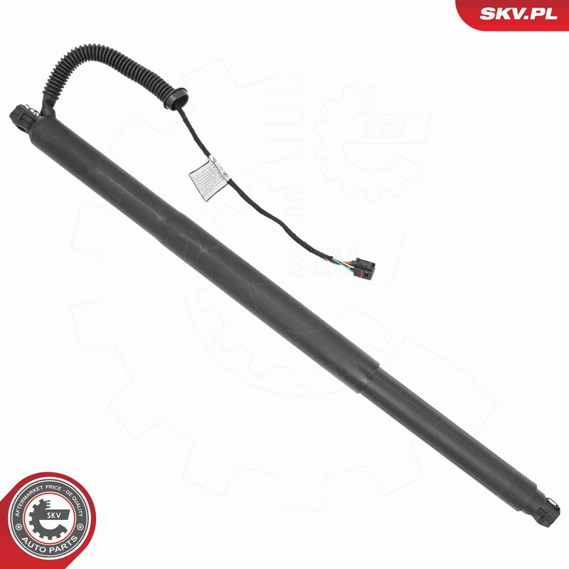 ESEN SKV 52SKV198 Electric Motor, tailgate