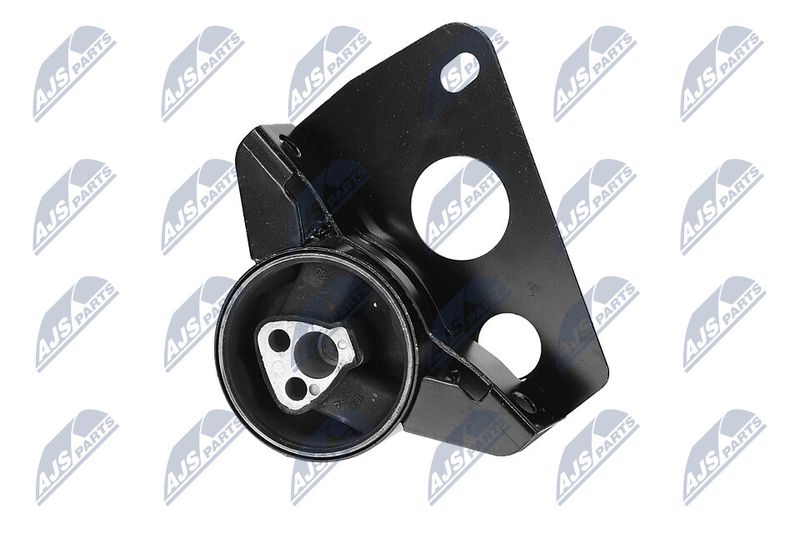 Paigutus, Mootor, NTY ZPS-DW-007