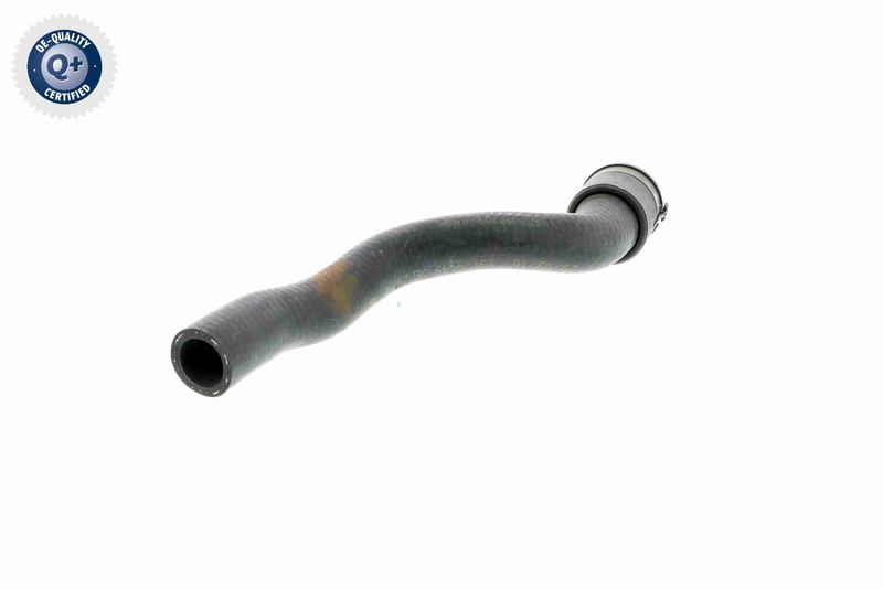 VAICO V40-1776 Radiator Hose