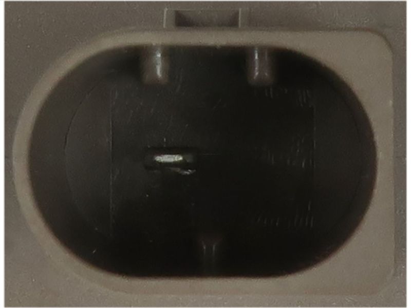 369678.JPG