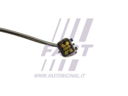 FT80214_3_1.JPG