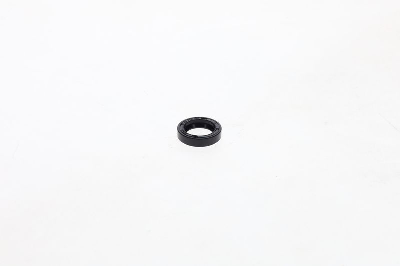 Garnitura 1 420 283 001 BOSCH