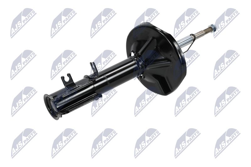 Amort, NTY A-CH-053