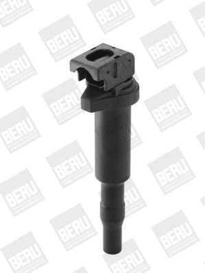 BorgWarner (BERU) ZSE143 Ignition Coil