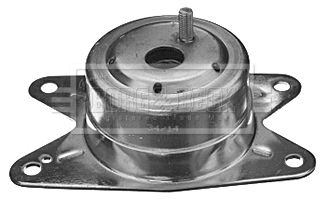 BEM3987_210779.JPG