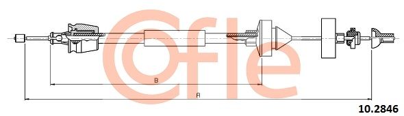 10.2846_1.JPG