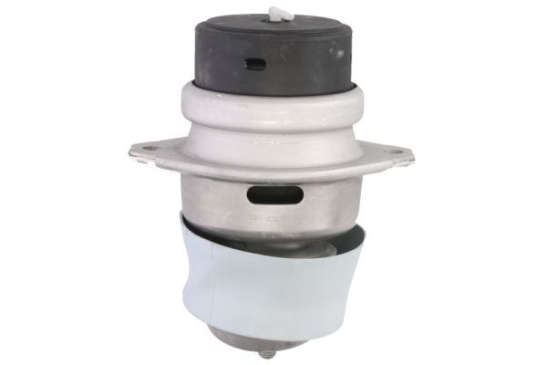 REINHOCH RH11-3164 Mounting, engine