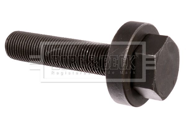 BORG & BECK BHN221 Nut, kingpin
