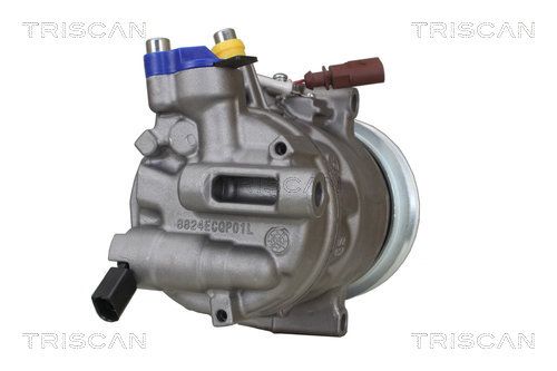 902029029_5.JPG