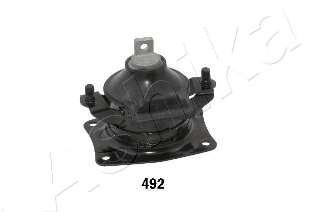 GOM-492_1.JPG