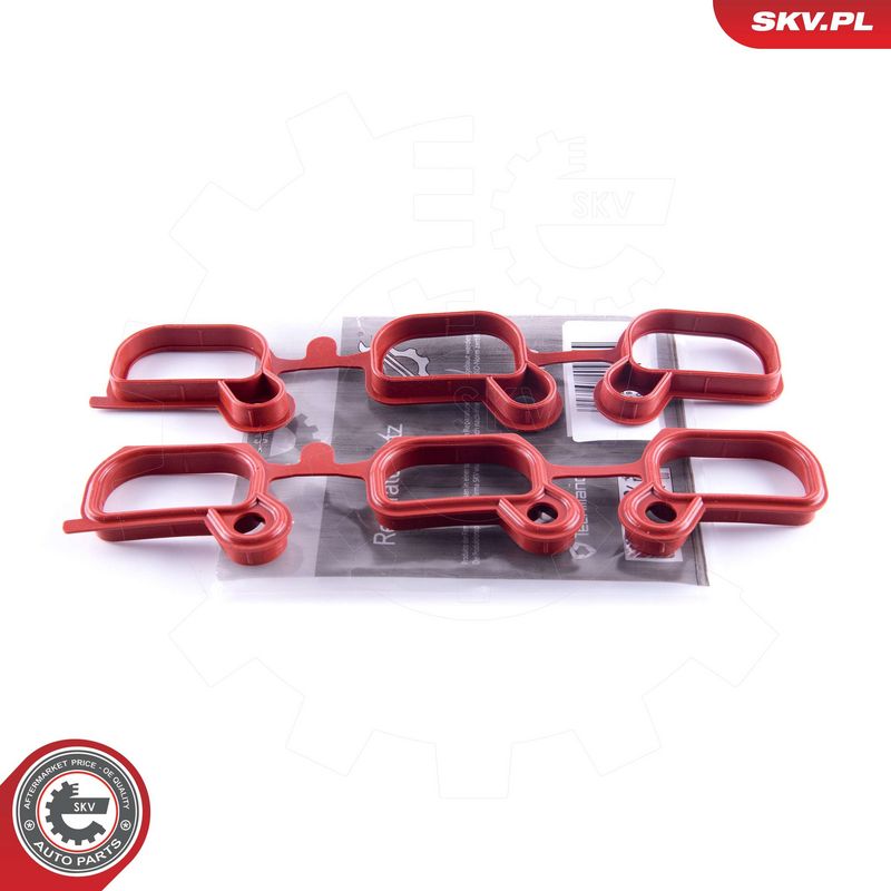 Remondikomplekt, imitoru moodul, ESEN SKV 49SKV651