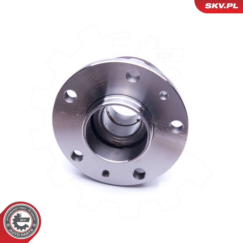 Rattalaagrikomplekt, ESEN SKV 29SKV217