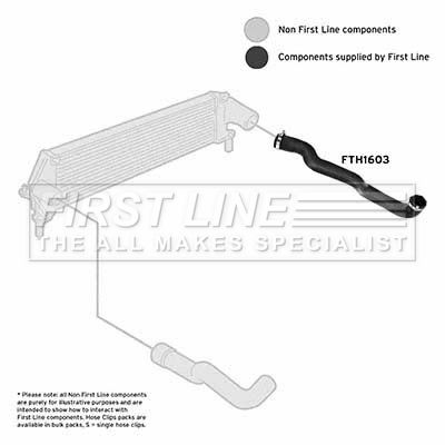 FTH1603_1101712.JPG