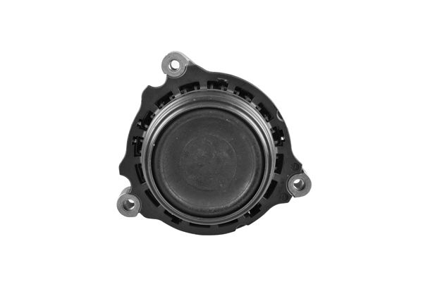 TED98788-C.JPG
