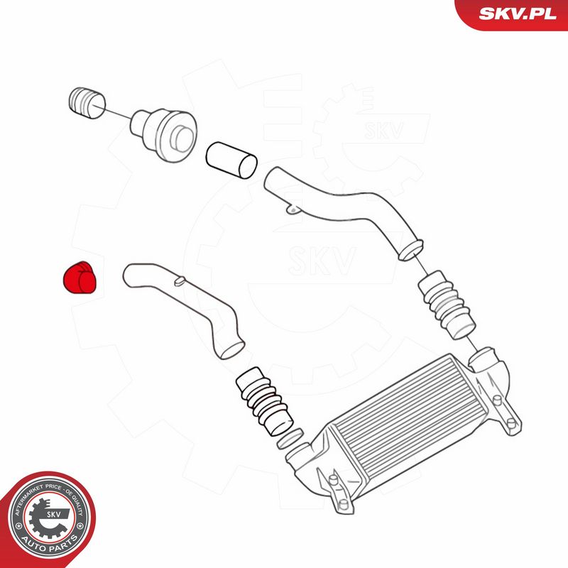 ESEN SKV 43SKV058 Charge Air Hose