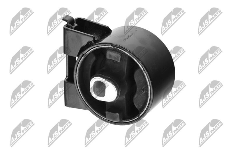 Paigutus, Mootor, NTY ZPS-CH-047