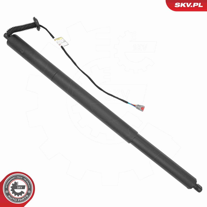 ESEN SKV 52SKV207 Electric Motor, tailgate