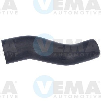 VE55804.JPG