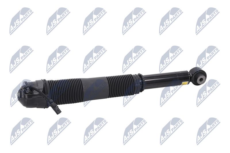 Amort, NTY A-LR-022