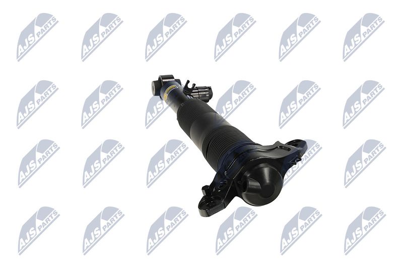 Amort, NTY A-LR-036