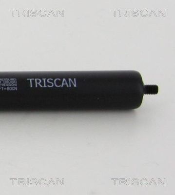 TRIS87101022352800_2.JPG