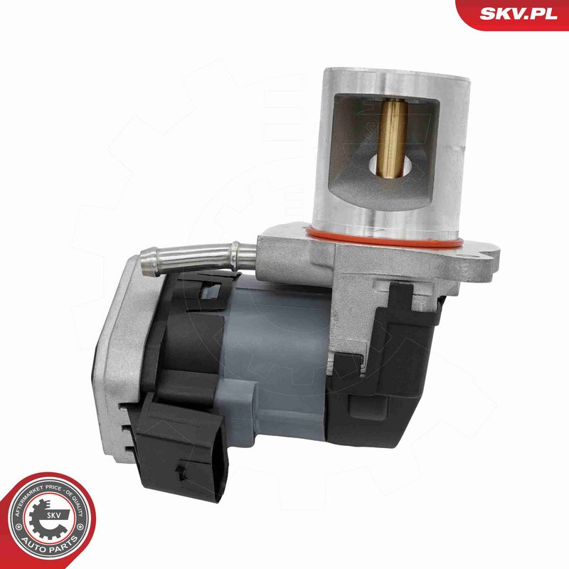 ESEN SKV 14SKV310 EGR Valve