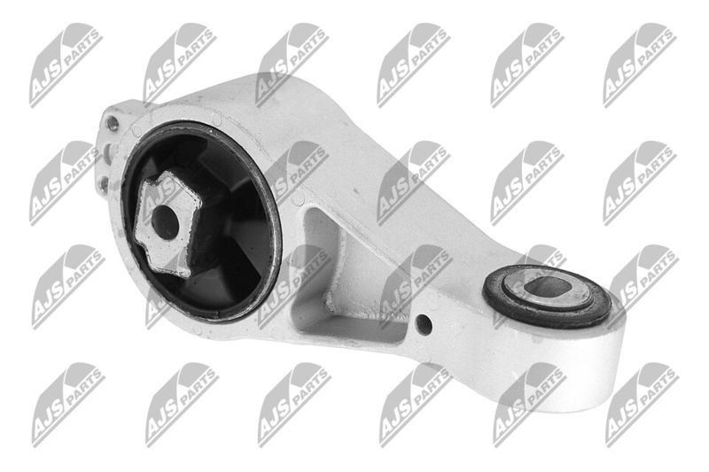 Paigutus, Mootor, NTY ZPS-CH-056