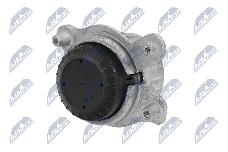 Paigutus, Mootor, NTY ZPS-ME-019