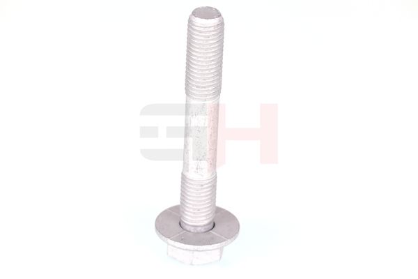 Kruvikomplekt, vedruamort-rattalaagrikorpus, GH GH-391561
