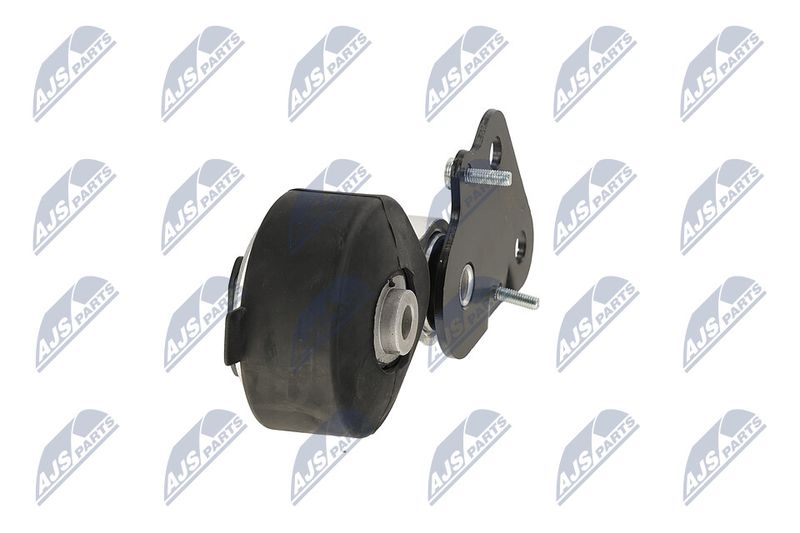 Paigutus, Mootor, NTY ZPS-CH-075