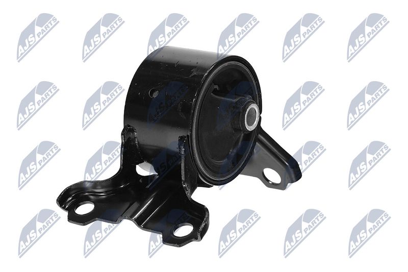 Paigutus, Mootor, NTY ZPS-CH-179