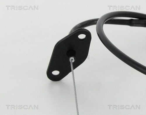 TRISCAN 8140 43310 Accelerator Cable
