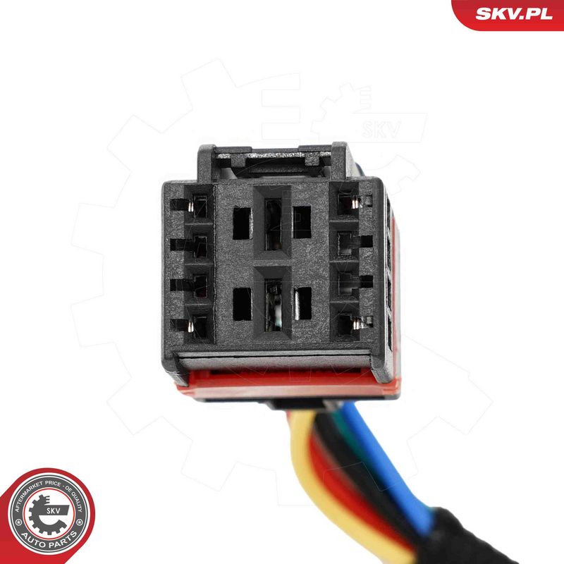 ESEN SKV 52SKV992 Electric Motor, tailgate