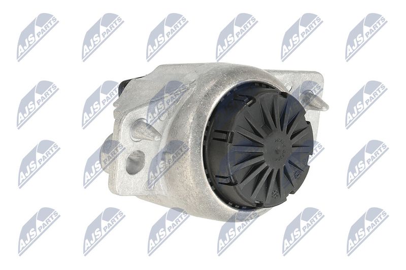 Paigutus, Mootor, NTY ZPS-LR-015