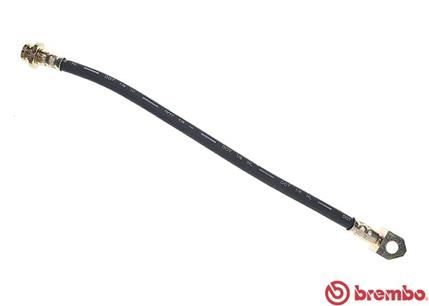 BREMBO T56076 - Brake Hose