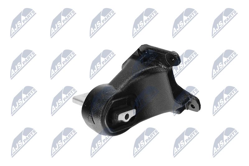 Paigutus, Mootor, NTY ZPS-CH-173