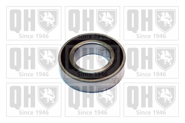 QH_XB9934.JPG