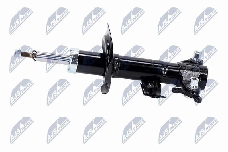 Amort, NTY A-NS-015