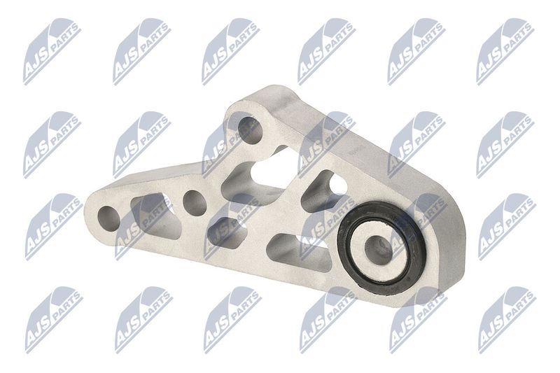 Paigutus, Mootor, NTY ZPS-CH-119