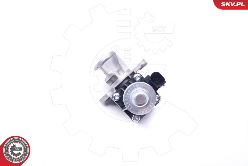 ESEN SKV 14SKV159 EGR Valve