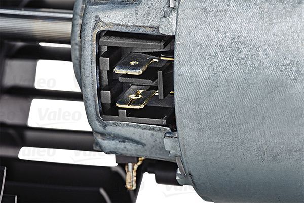 BLOWER_698438_02.JPG