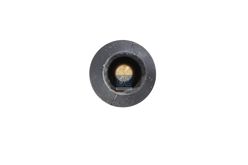 Set placute frana,frana disc 12.93106 DT Spare Parts