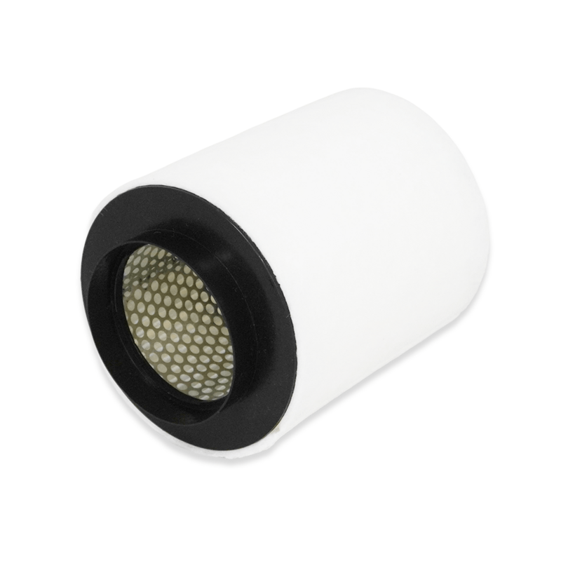 ASAM AUTOMOTIVE 99420 - Air Filter