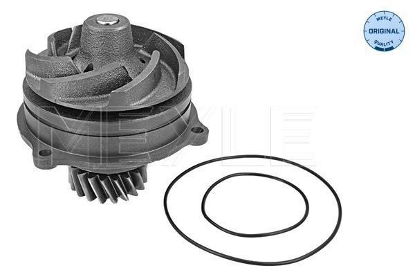 FS_2330455447_1.JPG