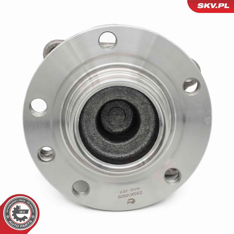 ESEN SKV 29SKV609 Wheel Bearing Kit