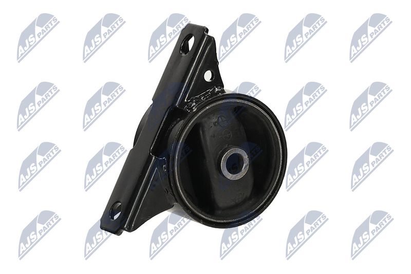 Paigutus, Mootor, NTY ZPS-MS-013