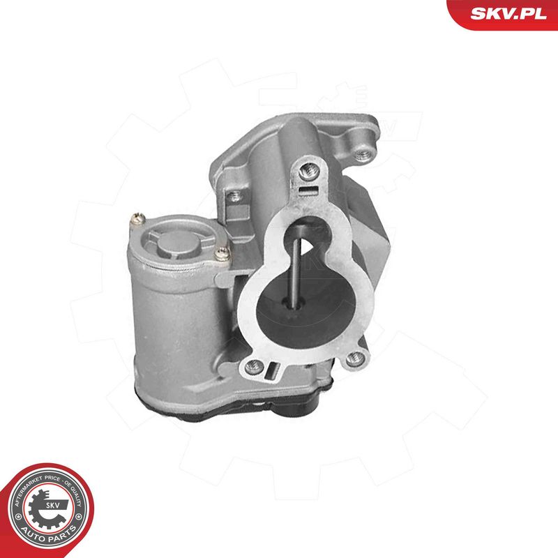 ESEN SKV AGR-szelep 14SKV317
