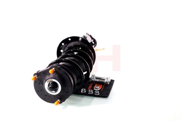 Vedruamort, GH GH-352388C01