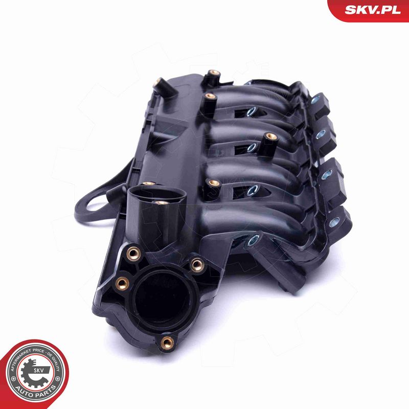 ESEN SKV 49SKV038 Intake Manifold Module
